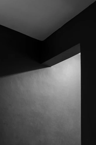 A high-resolution photo showcasing a minimalist architectural detail with natural light highlighting textures.