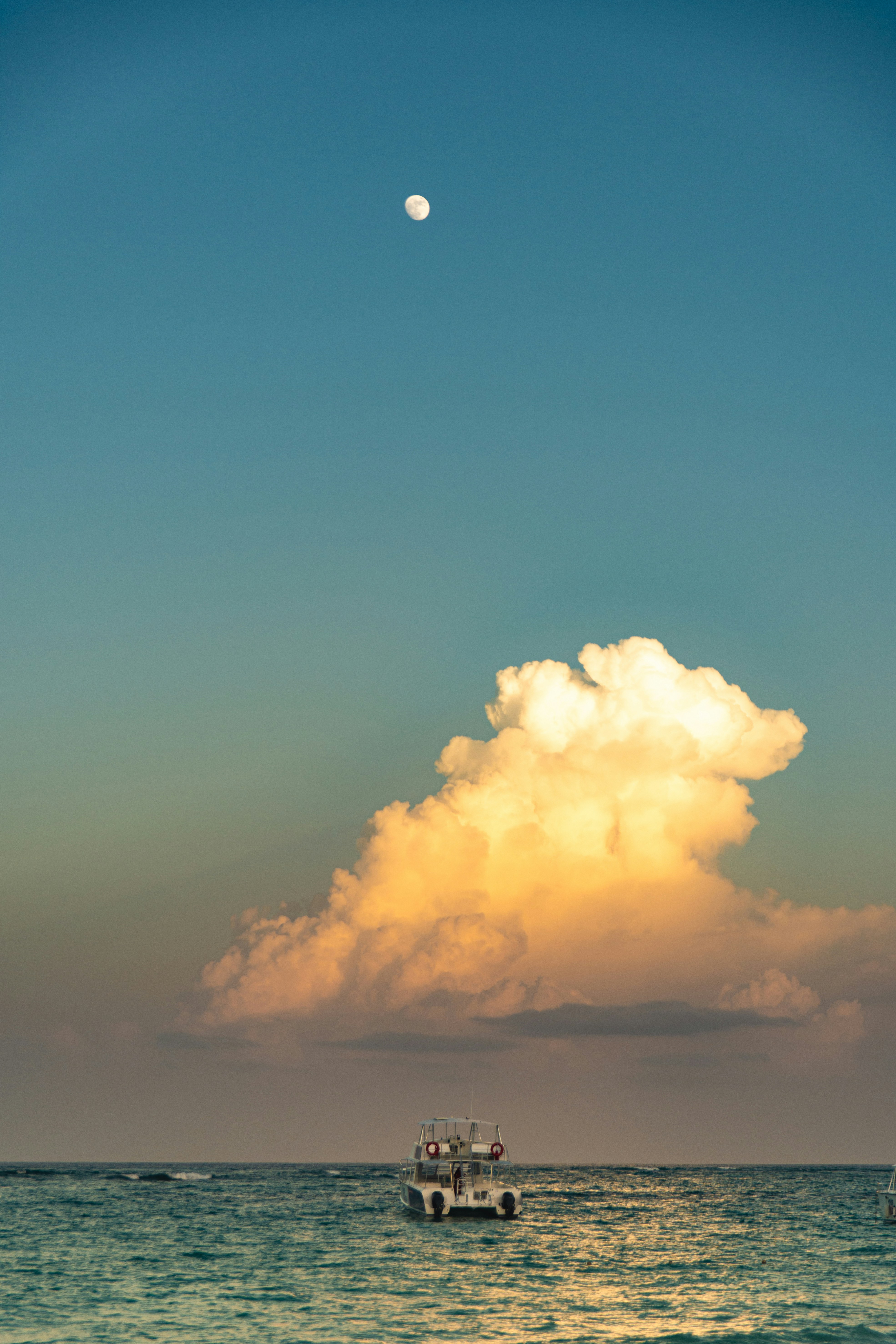 Photo by josegomesphoto