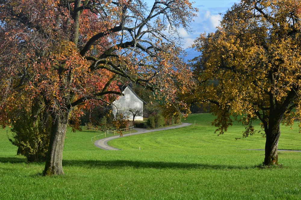 green grass field with trees and white house