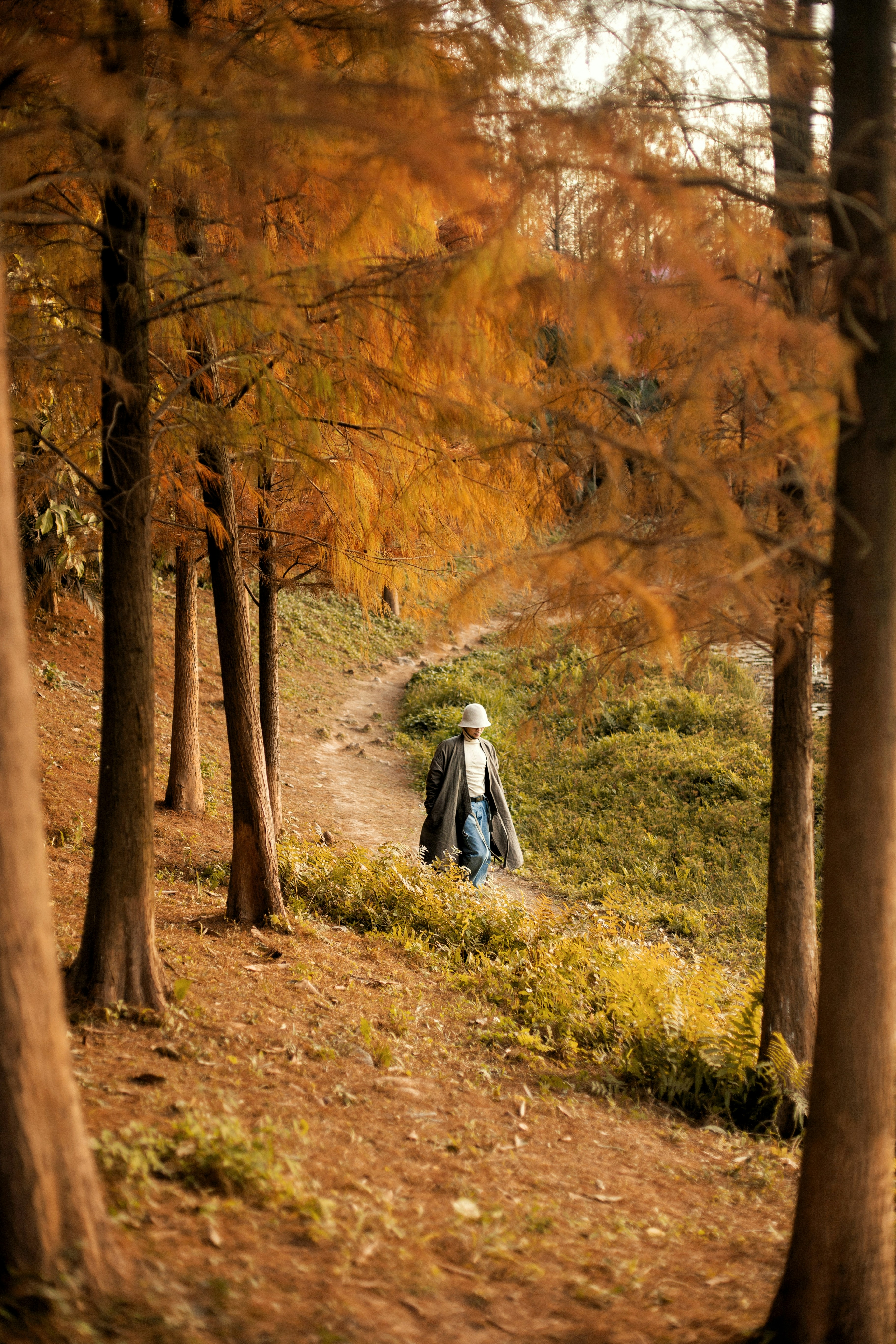 Photo by zhangzui