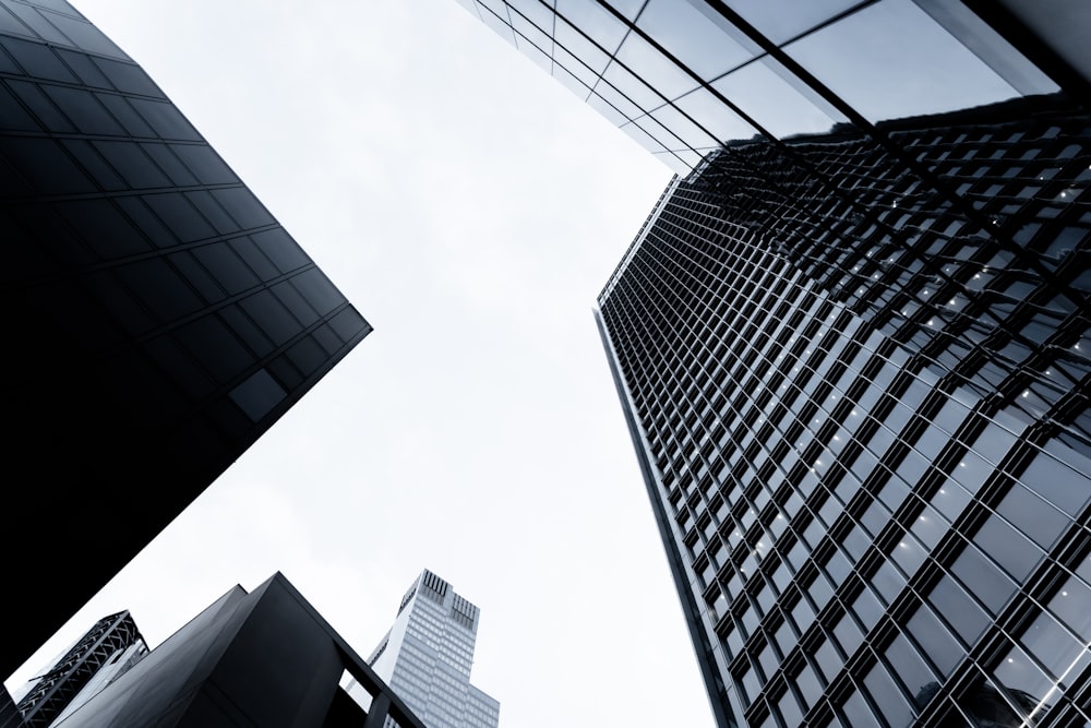 low angle photography of high rise buildings