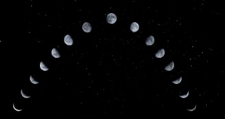 white and black abstract painting