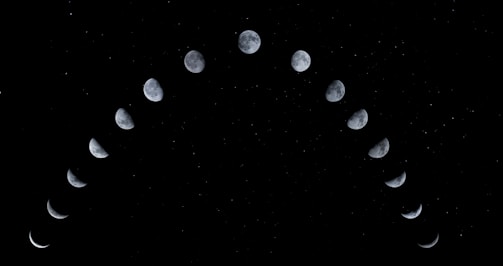 white and black abstract painting