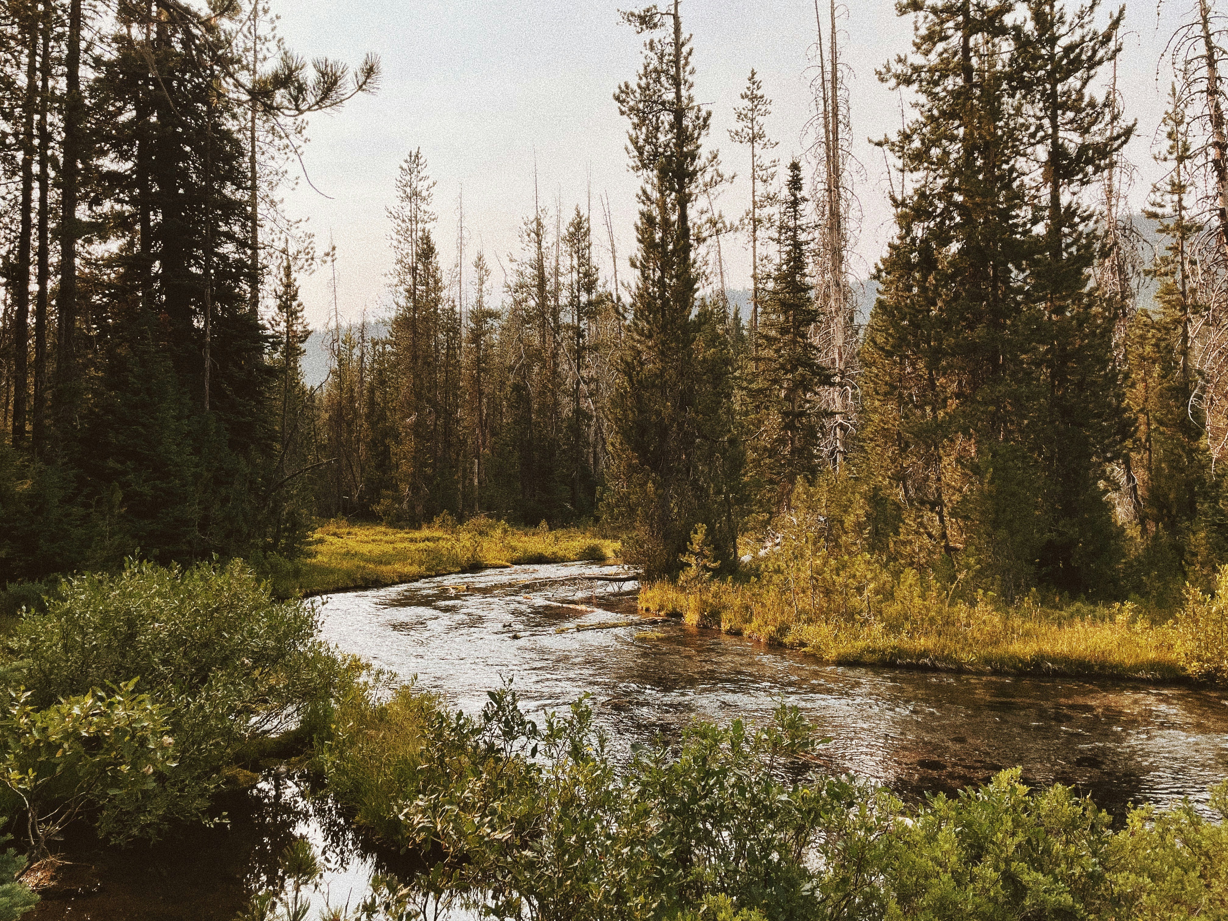 Photo by nickdepartee