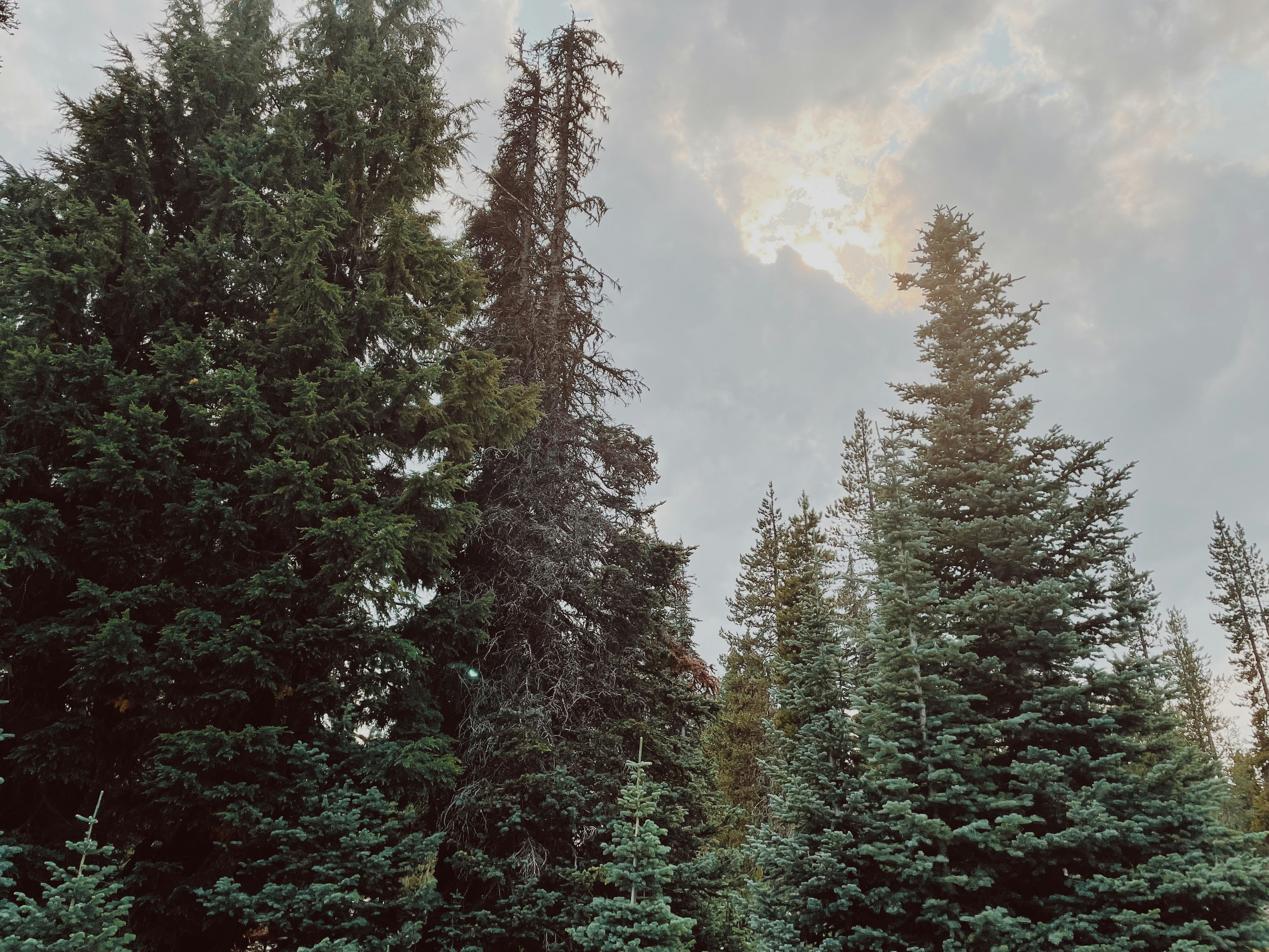 Photo by nickdepartee