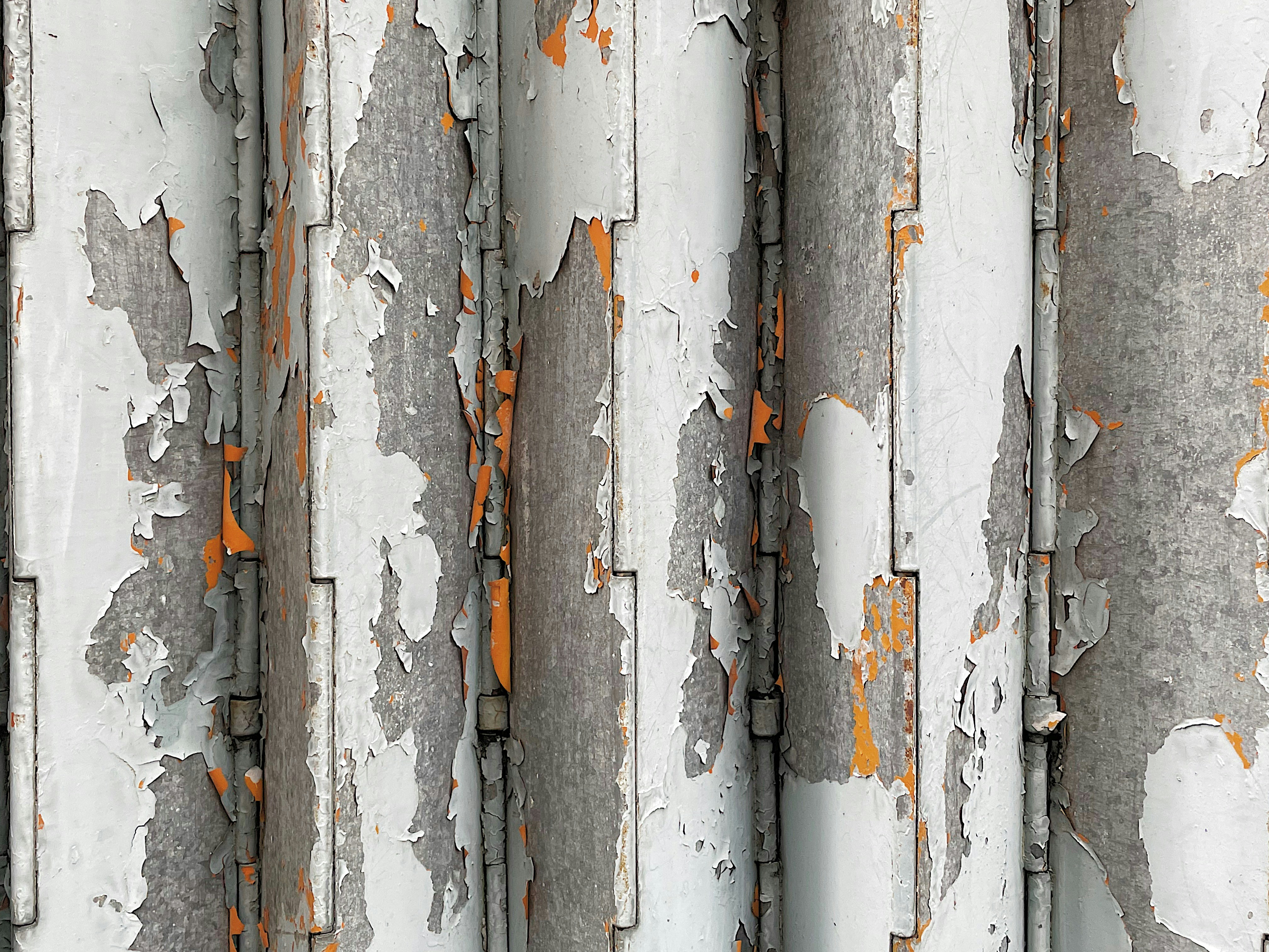 Photo by dynamicwang