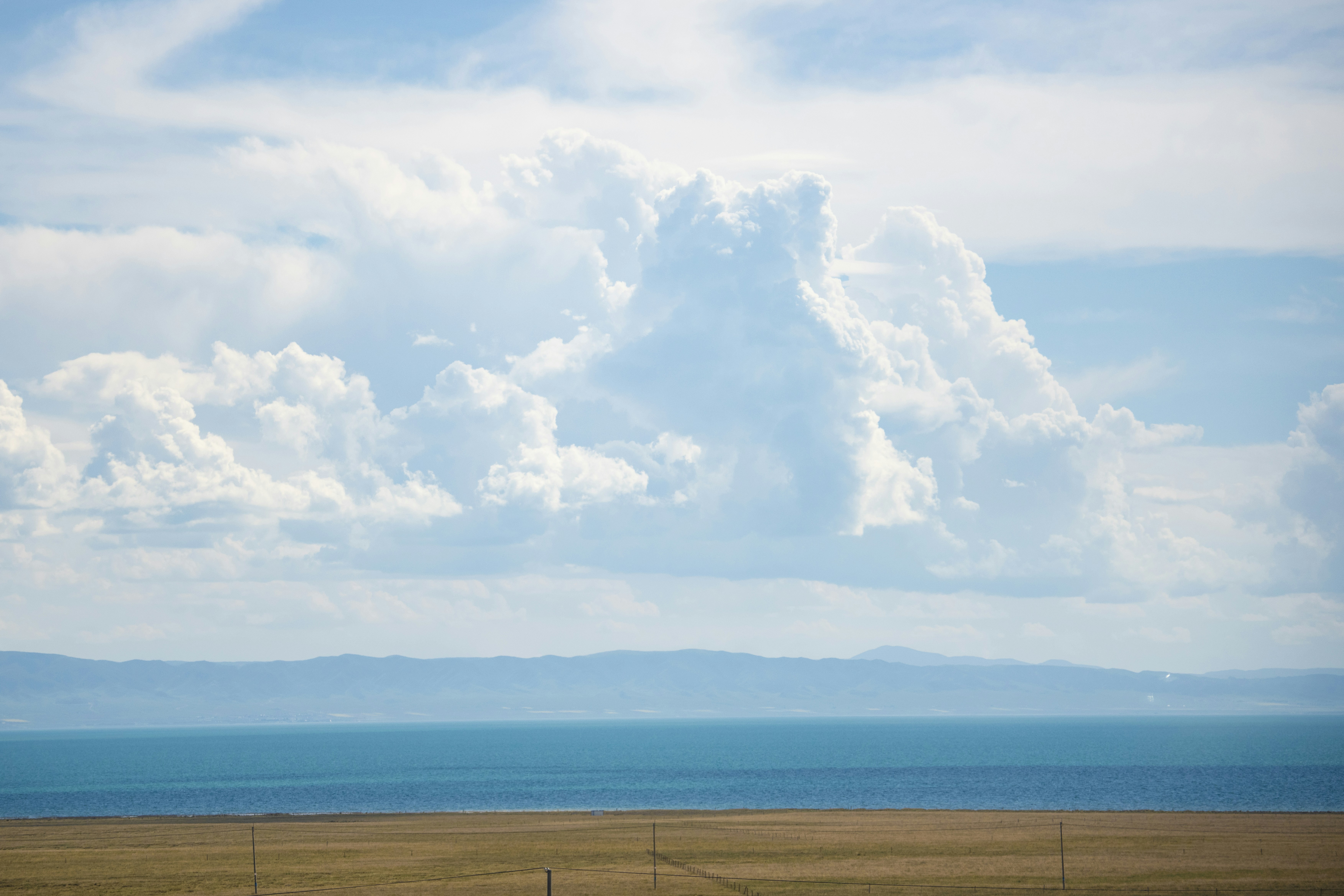 Photo by wangvictor222