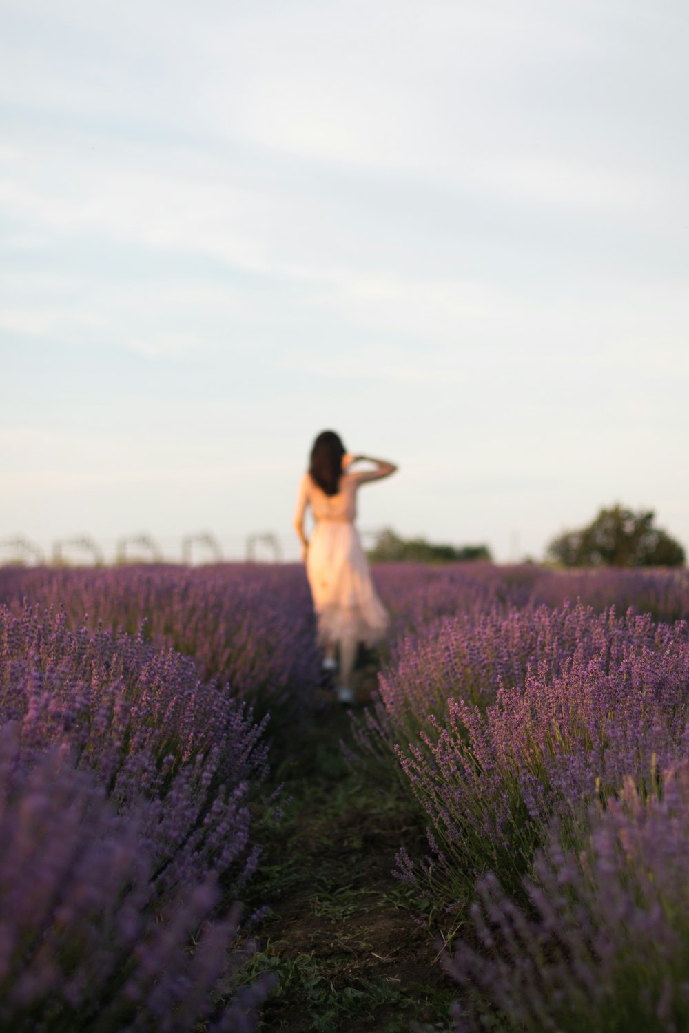 woman in white dress standing on purple flower field during daytime