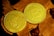 Two golden coins are placed on a surface covered with autumn leaves. One coin features the popular Shiba Inu meme associated with Dogecoin, displaying text such as 'wow' and 'how money', while the other showcases the Bitcoin logo and inscriptions related to blockchain technology.