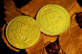 Two golden coins are placed on a surface covered with autumn leaves. One coin features the popular Shiba Inu meme associated with Dogecoin, displaying text such as 'wow' and 'how money', while the other showcases the Bitcoin logo and inscriptions related to blockchain technology.