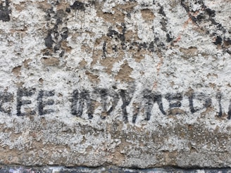 A roughly textured, weathered wall features partially faded, black graffiti with the lettering 'FREE' followed by what appears to be 'FREEDOM'. The wall's surface is uneven, with chipped paint revealing underlying layers.