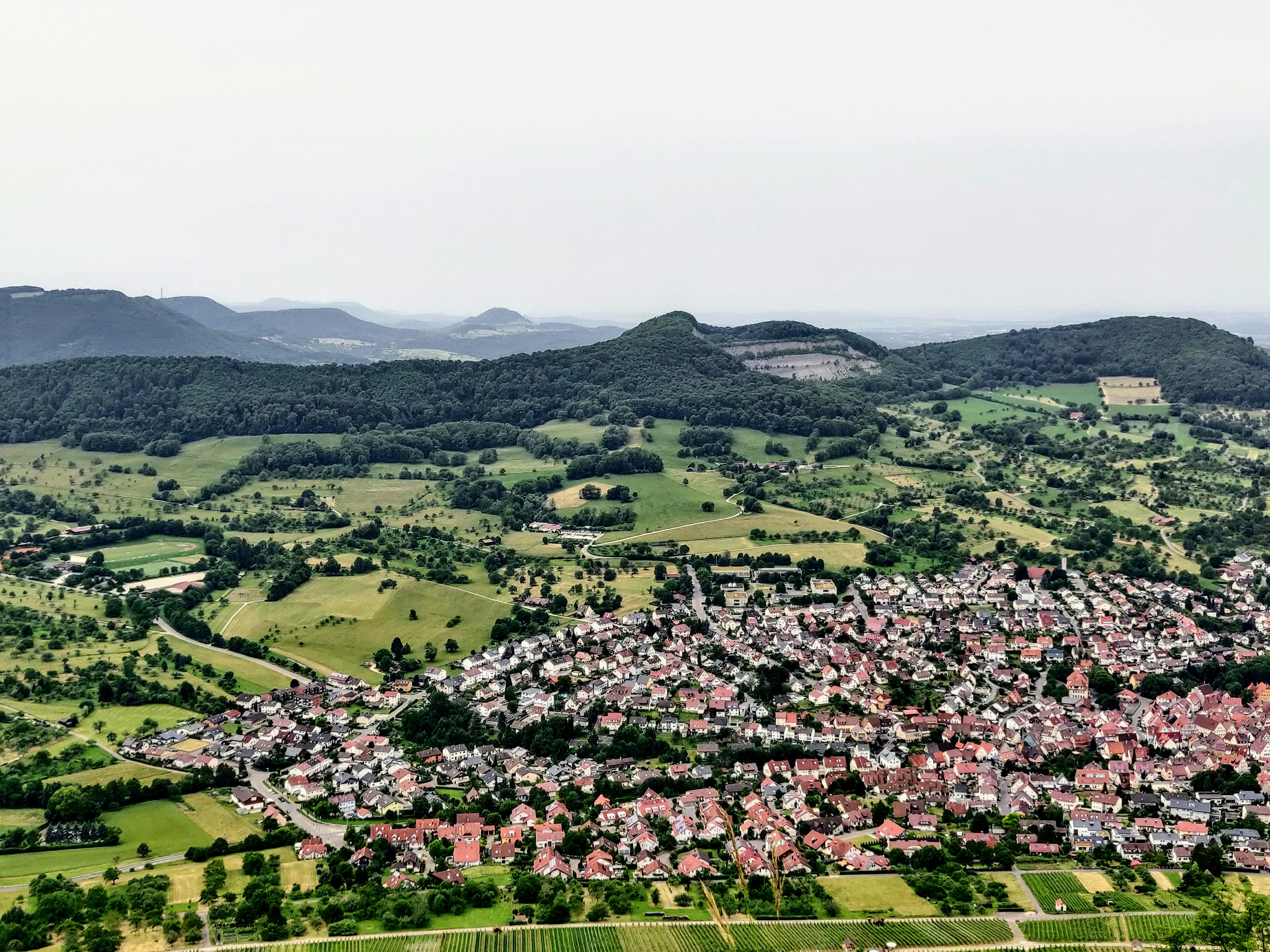 aerial view of green trees and mountains during daytime