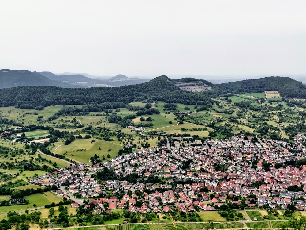 aerial view of green trees and mountains during daytime