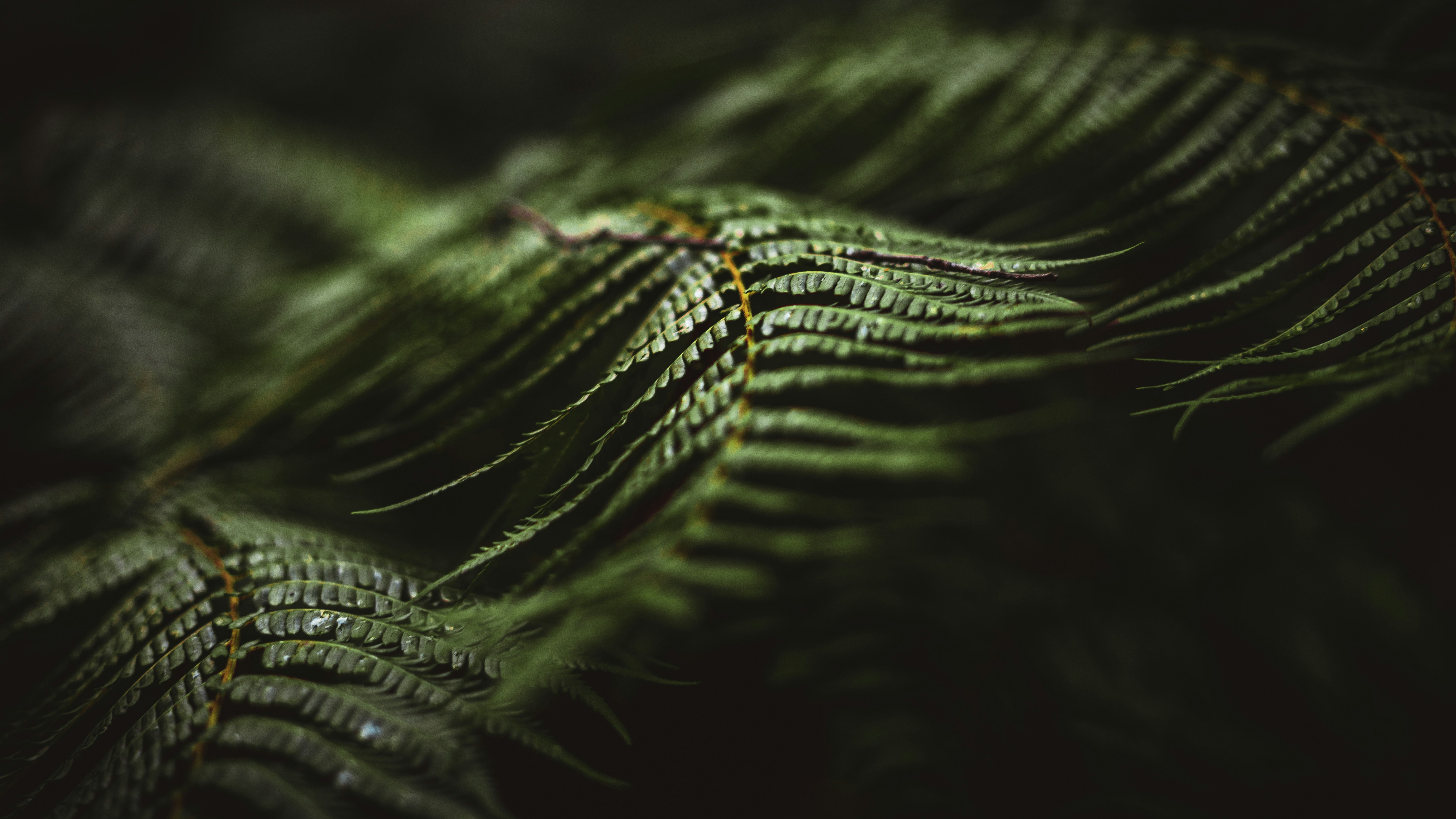 Photo by nathjennings_