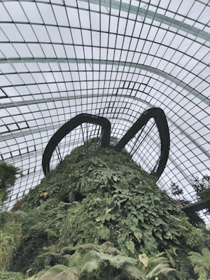 A tall, lush green vertical garden or indoor plant wall is situated under a large, glass domed ceiling. The structure appears to be inside a conservatory or greenhouse, with a variety of climbing plants and ferns covering the surface.