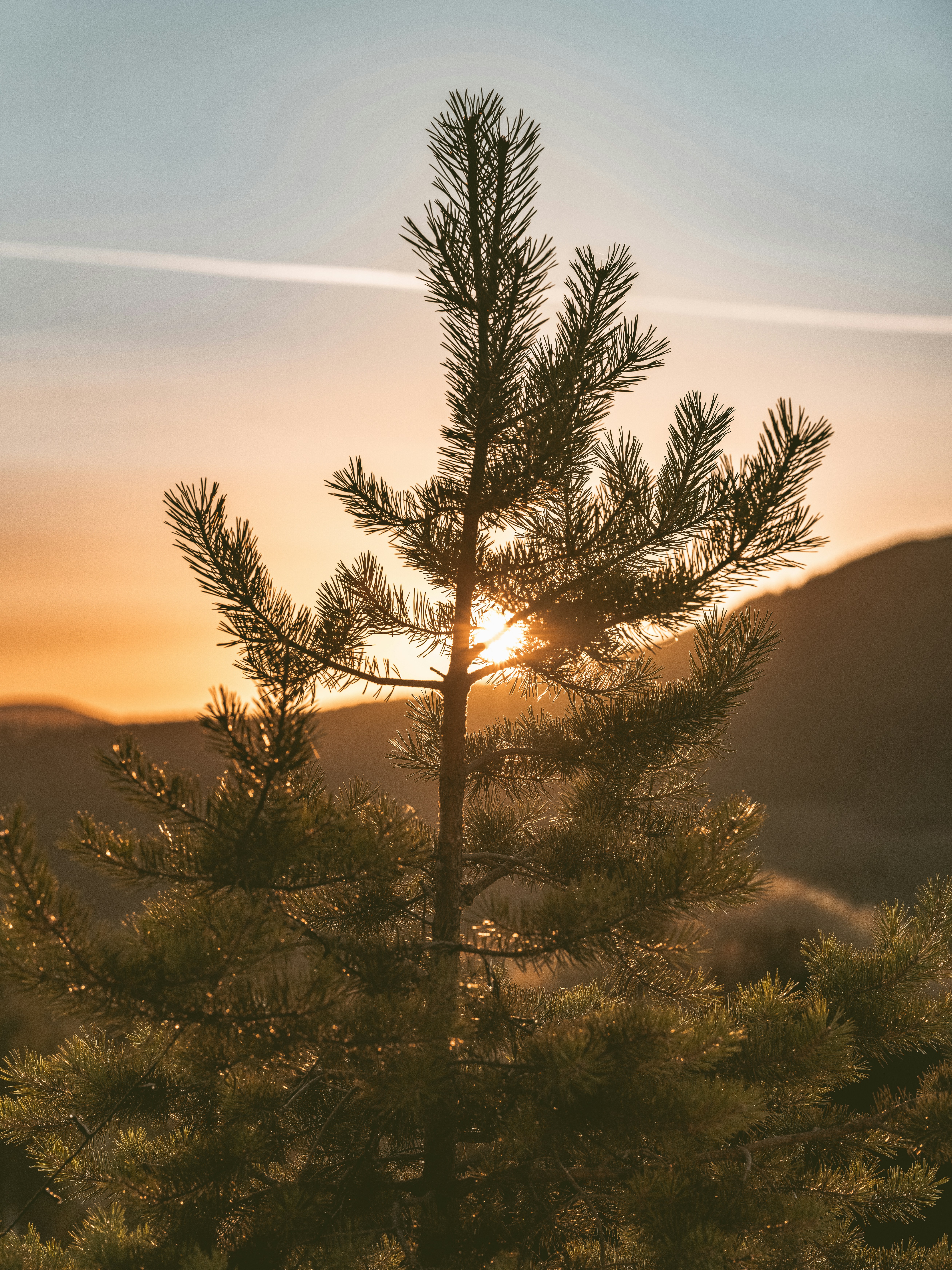 Photo by stockholmparis