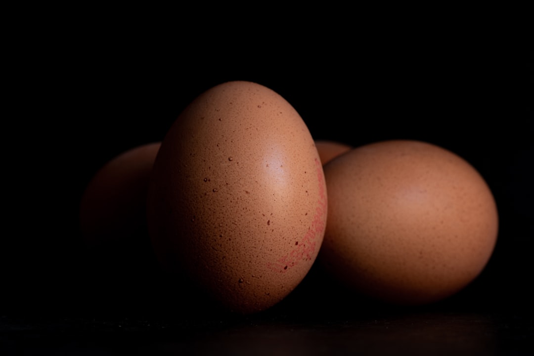 brown egg on black surface