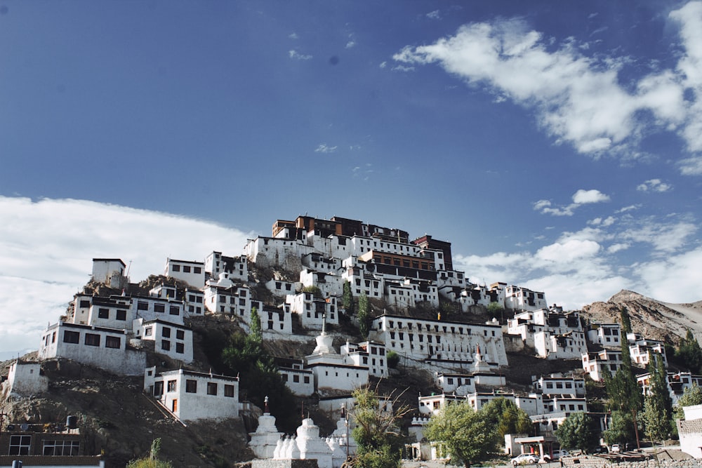 white and brown concrete buildings under blue sky during daytime