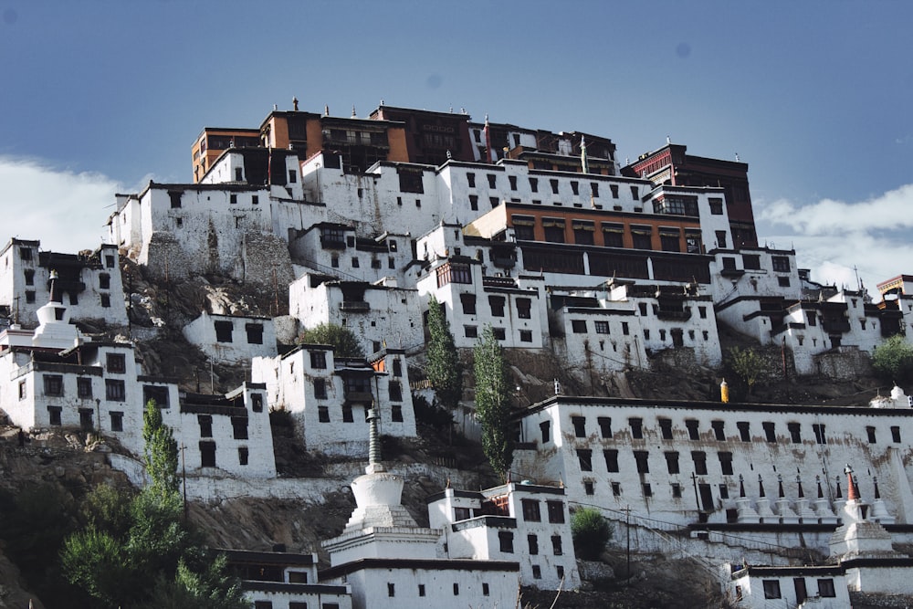 white and brown concrete houses