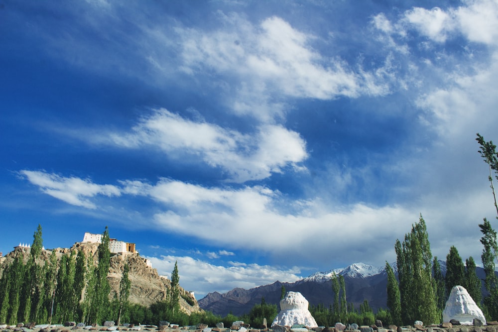 green trees and white mountains under white clouds and blue sky during daytime