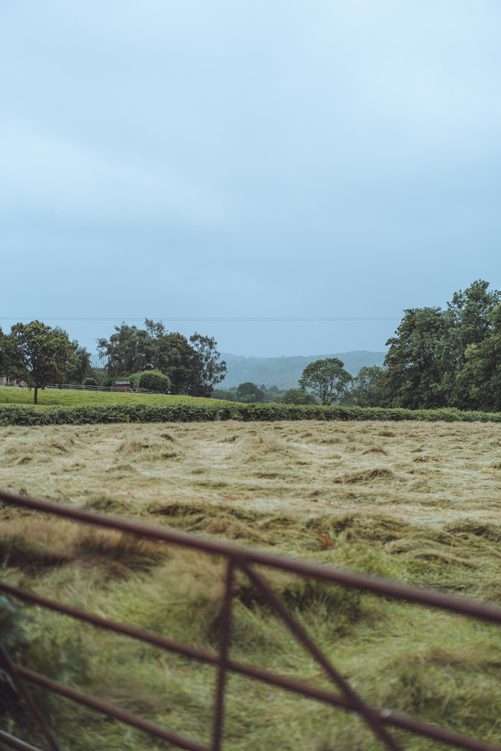 green grass field near green trees under white sky during daytime