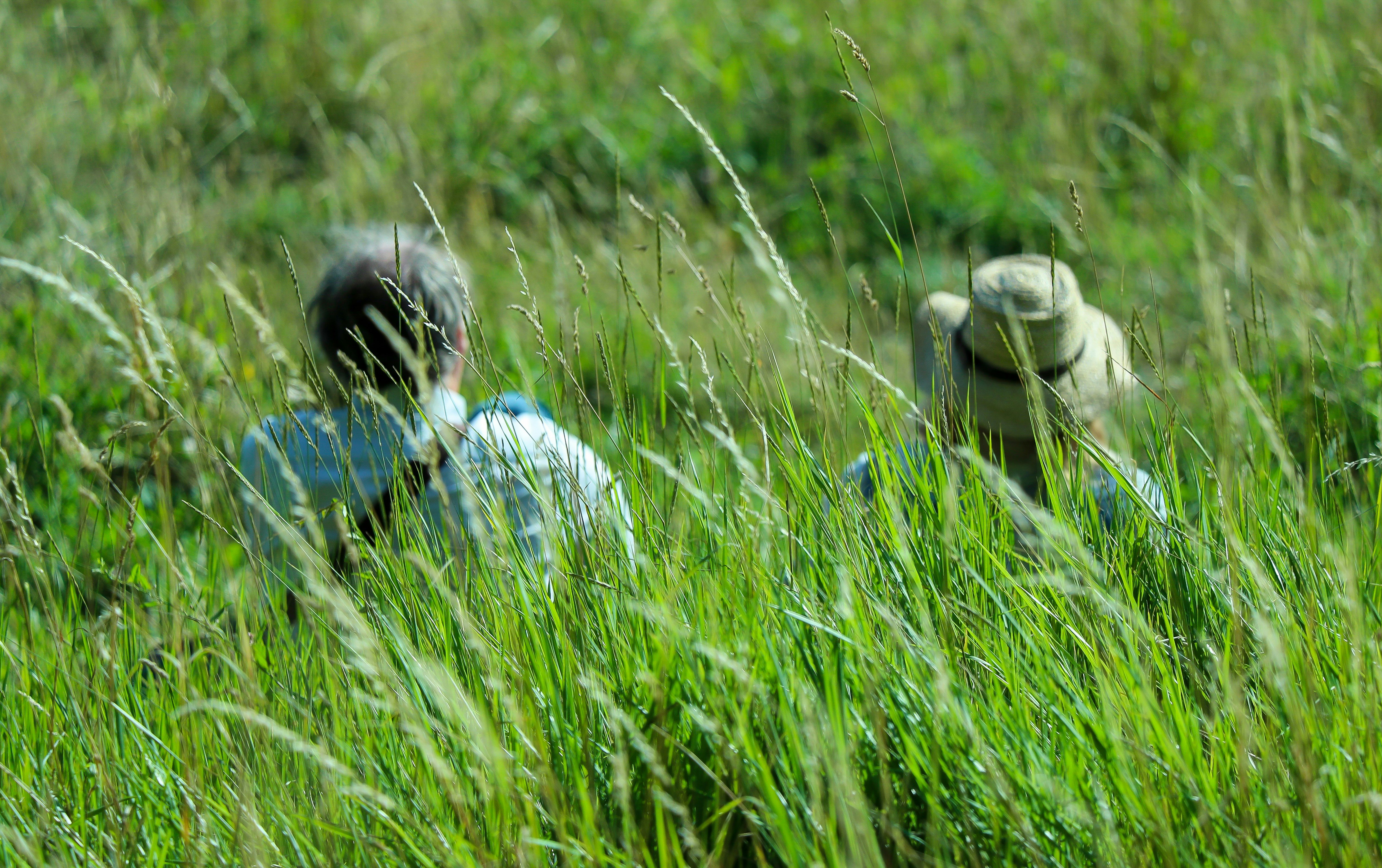 man in blue and white plaid dress shirt sitting on green grass field during daytime