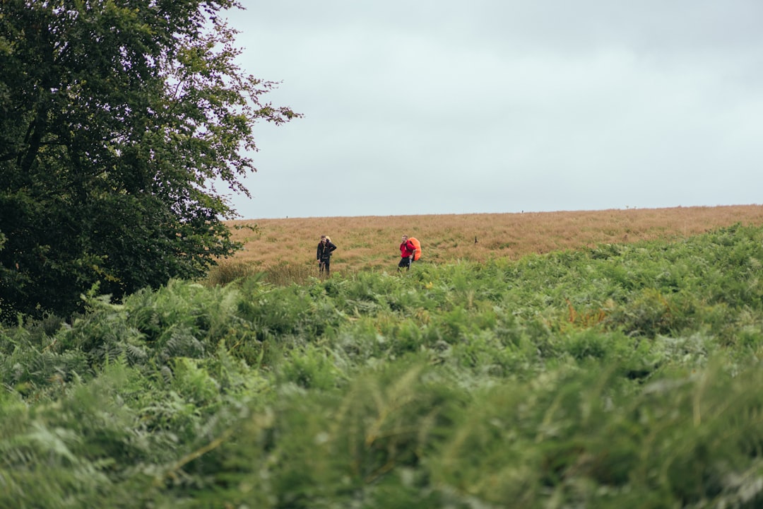 2 people walking on green grass field during daytime