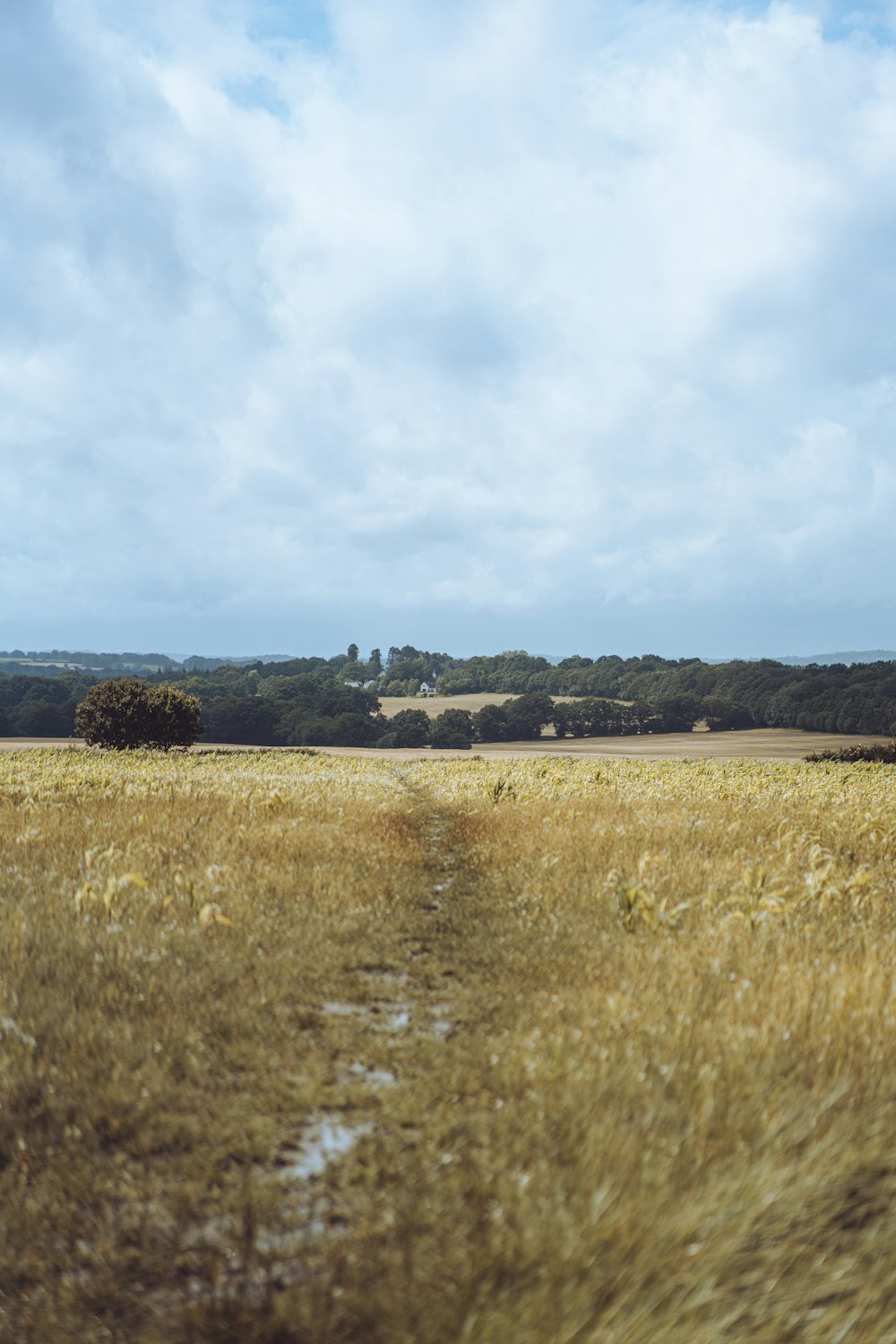 green grass field under white clouds during daytime