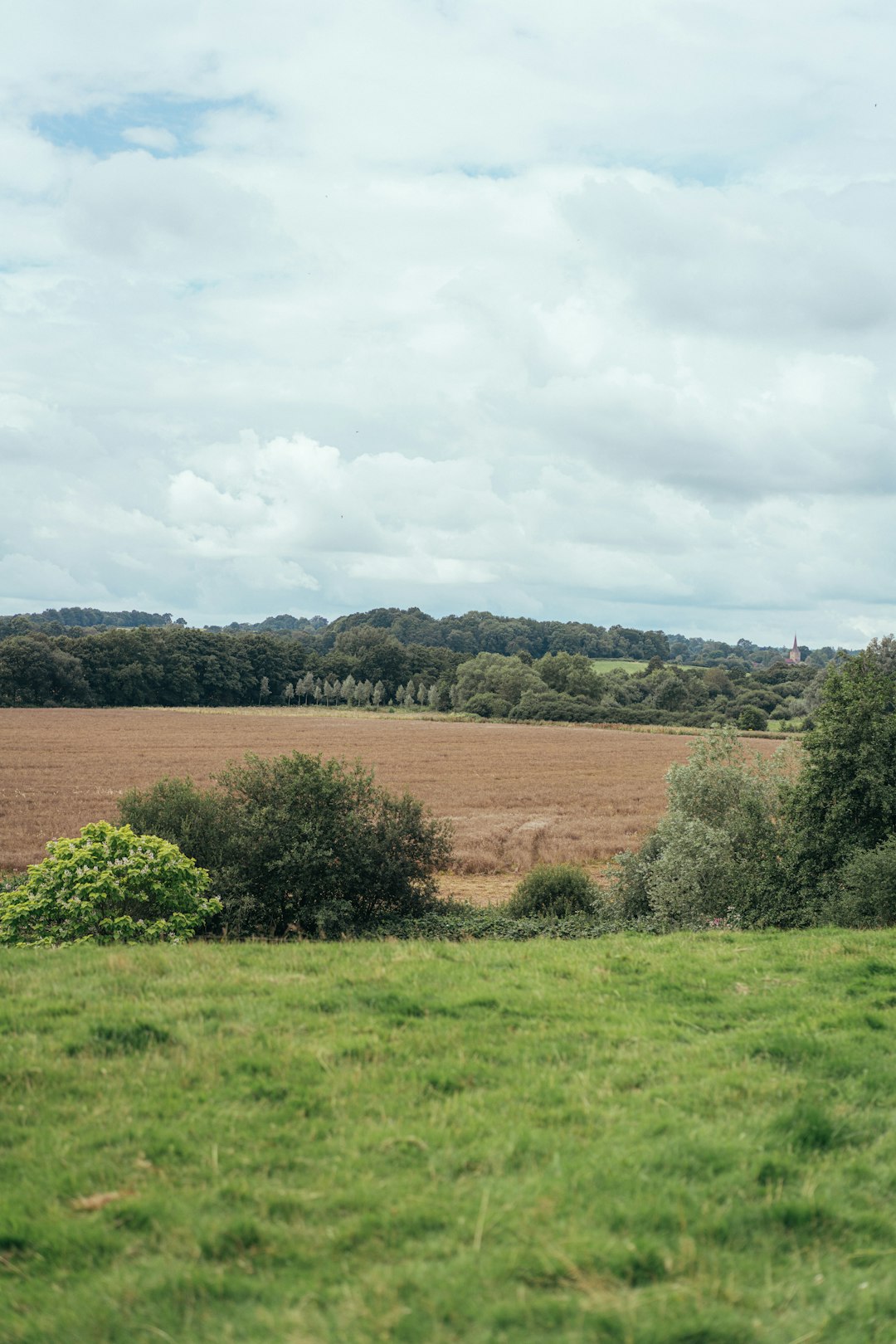 green grass field under white clouds during daytime