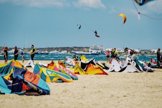 people on beach during daytime