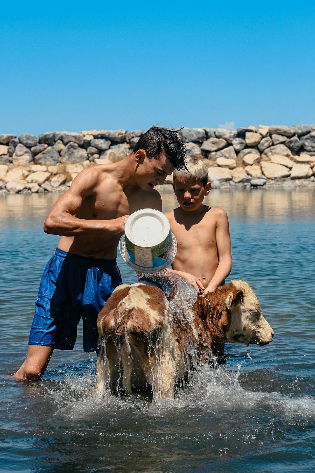 man in blue shorts standing beside brown horse during daytime