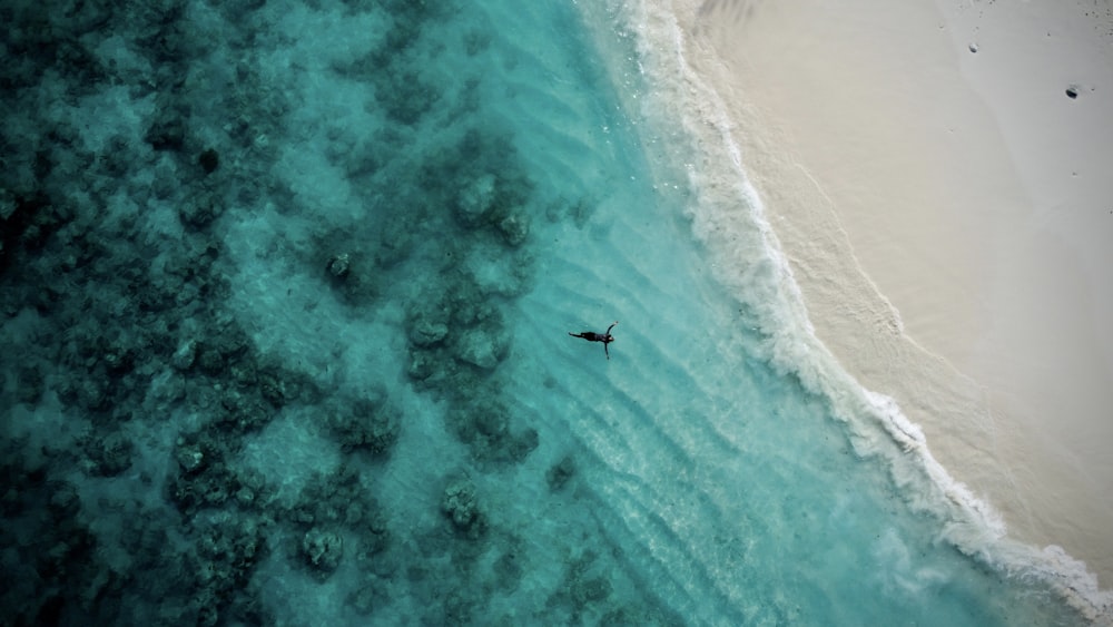 aerial view of person surfing on sea waves during daytime