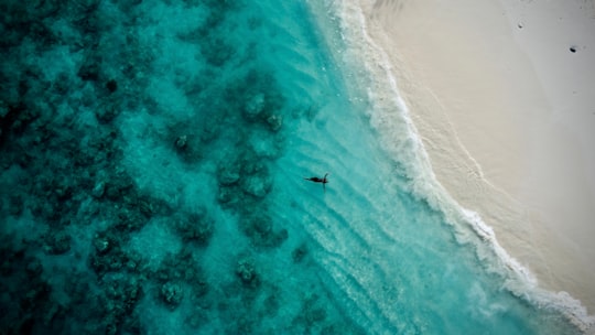 aerial view of person surfing on sea waves during daytime in Maalhos Maldives