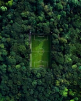 A vibrant football match underway on the green field surrounded by forest scenery.