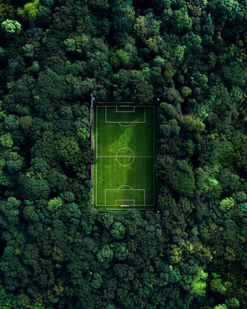 aerial view of green basketball court surrounded by green trees during daytime