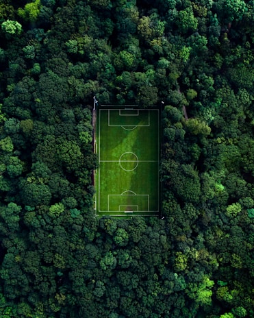 An aerial view of a football field surrounded by dense, dark green forest, creating a striking contrast between the neatly lined, vivid green grass of the pitch and the natural, irregular texture of the tree canopy.