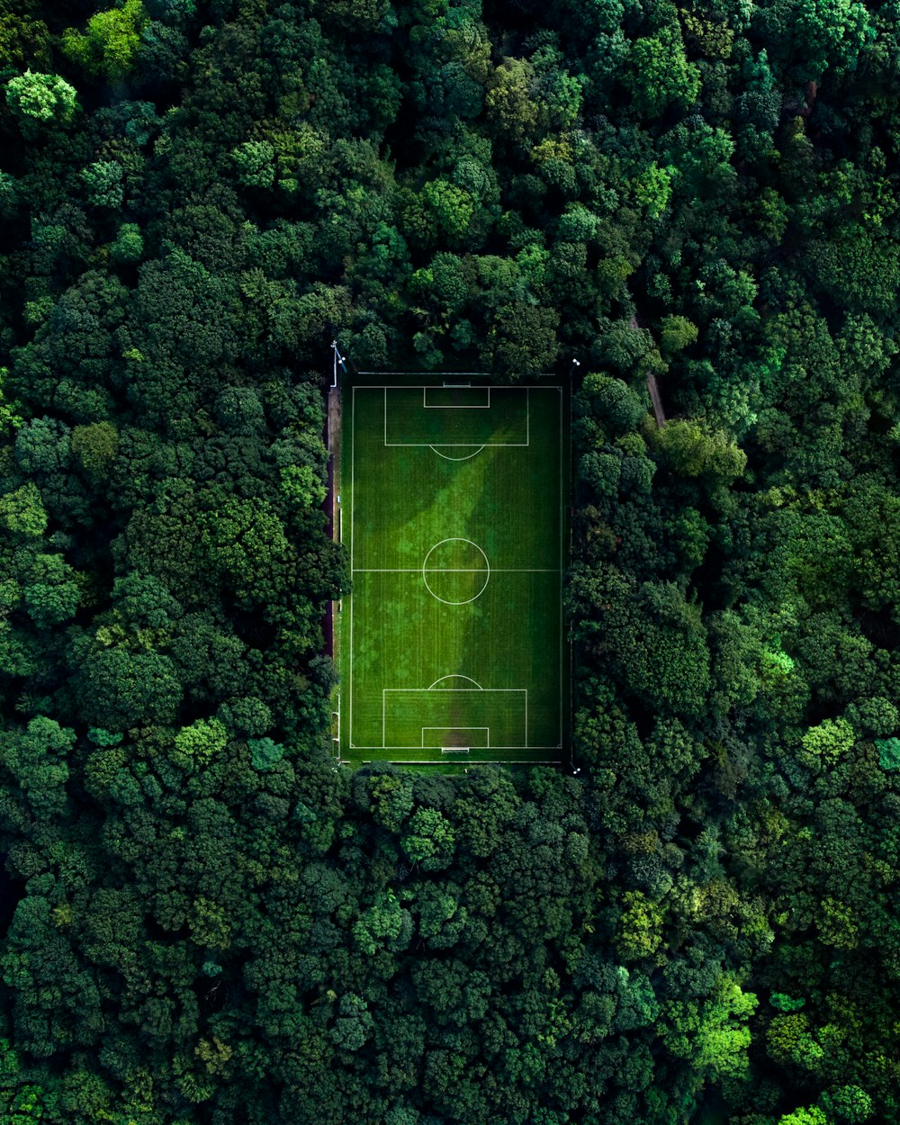 Luftaufnahme des grünen Basketballplatzes, der tagsüber von grünen Bäumen umgeben ist