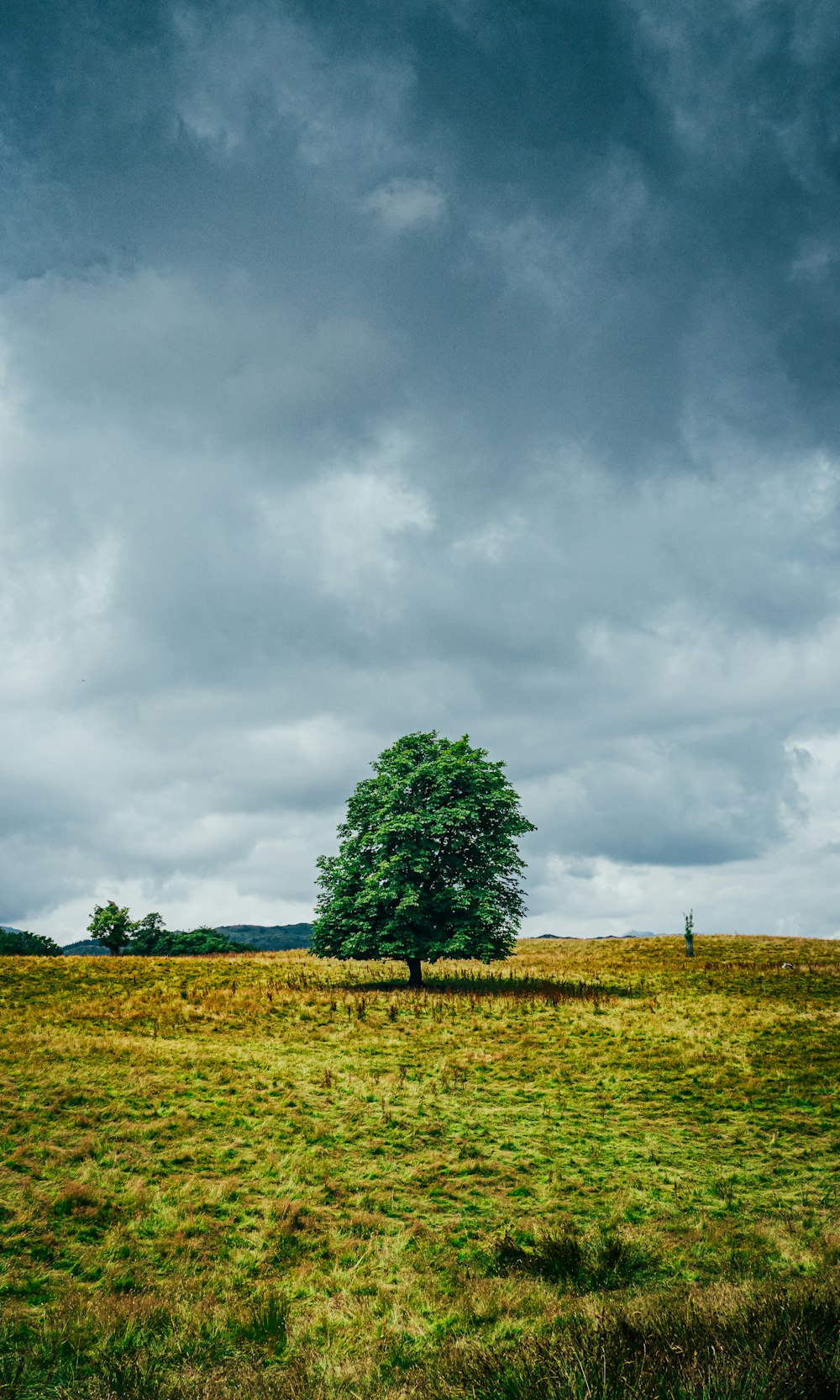 green grass field under cloudy sky during daytime