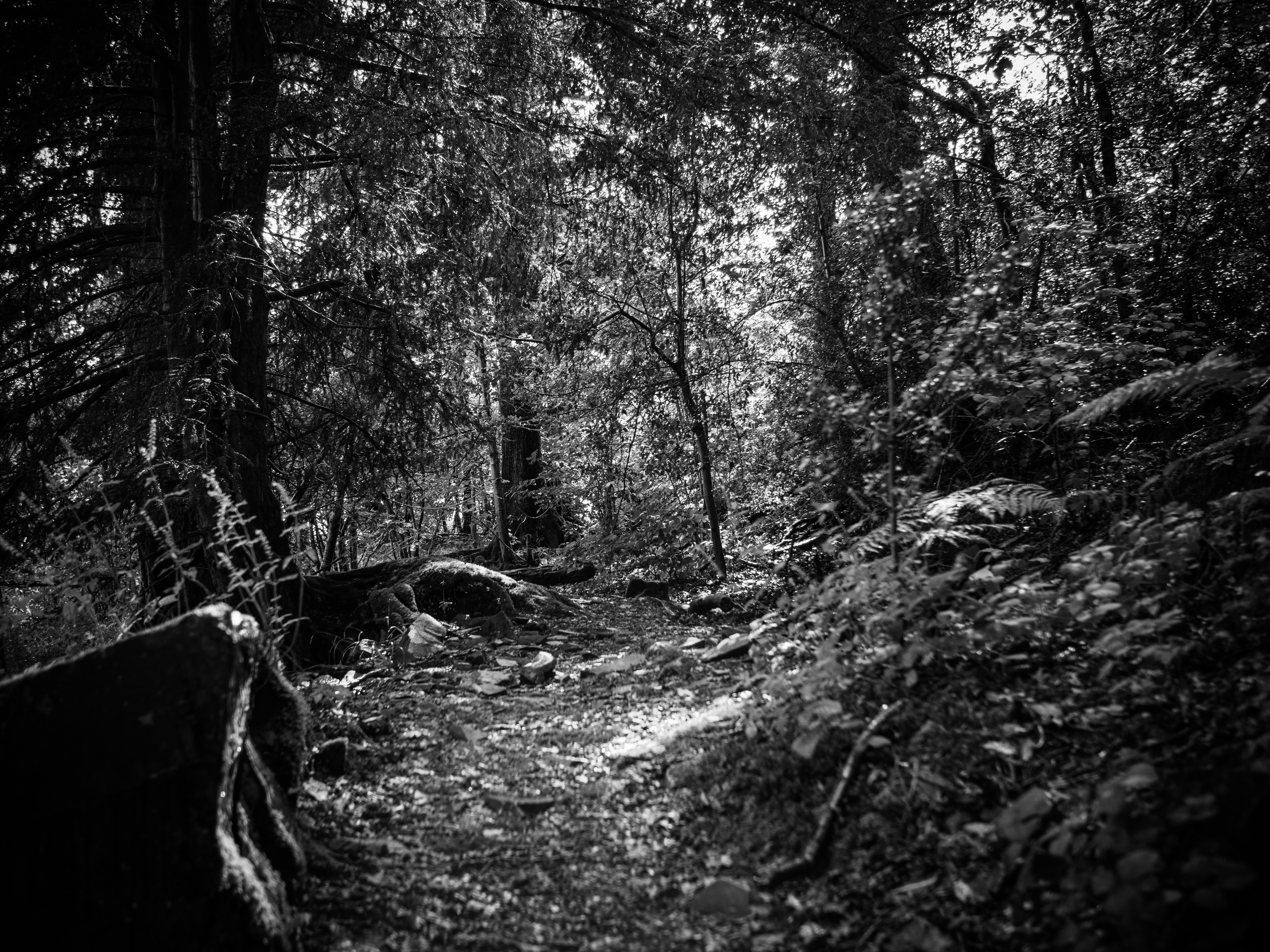 Photo by gregwillson