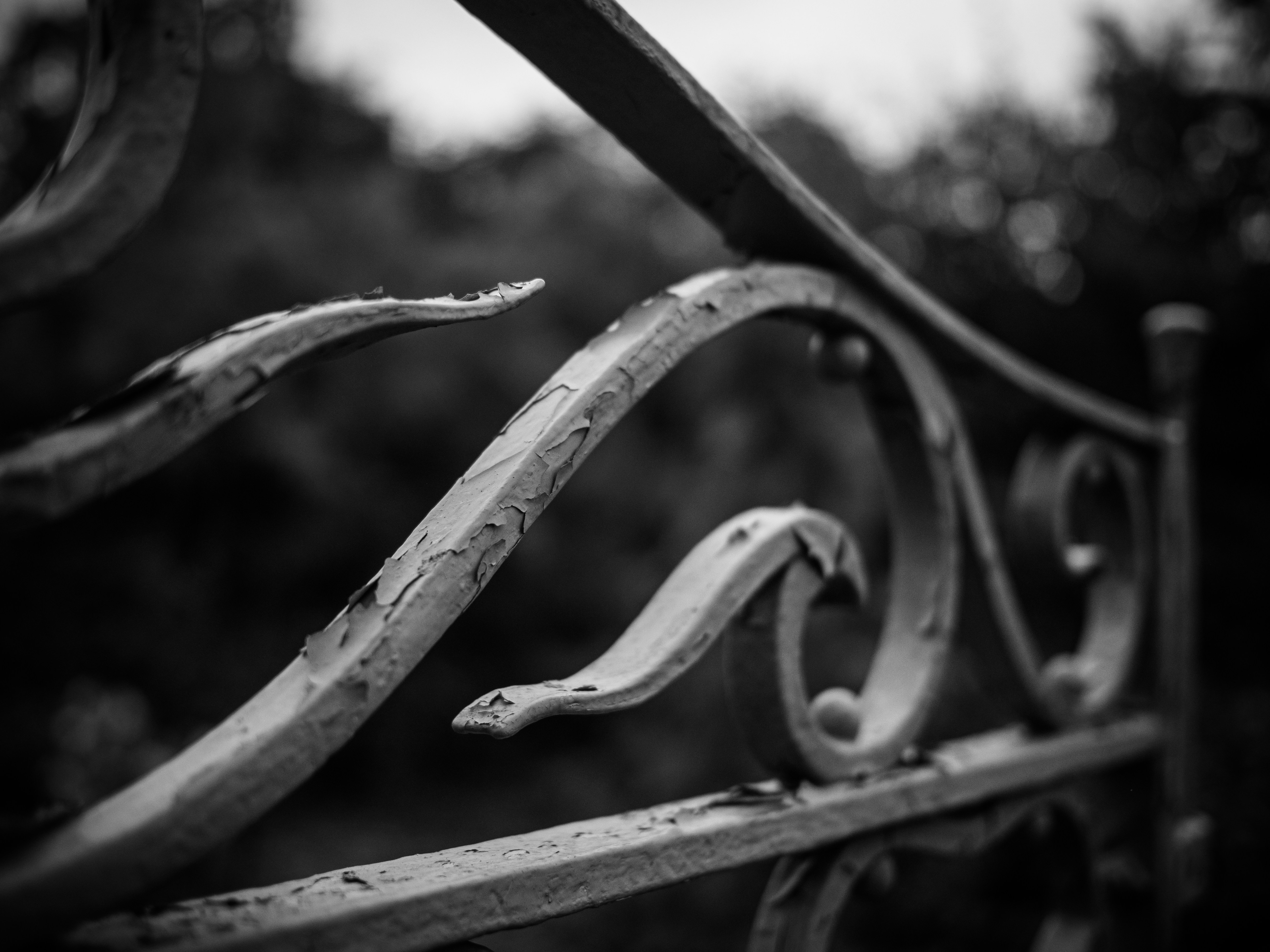 Photo by gregwillson