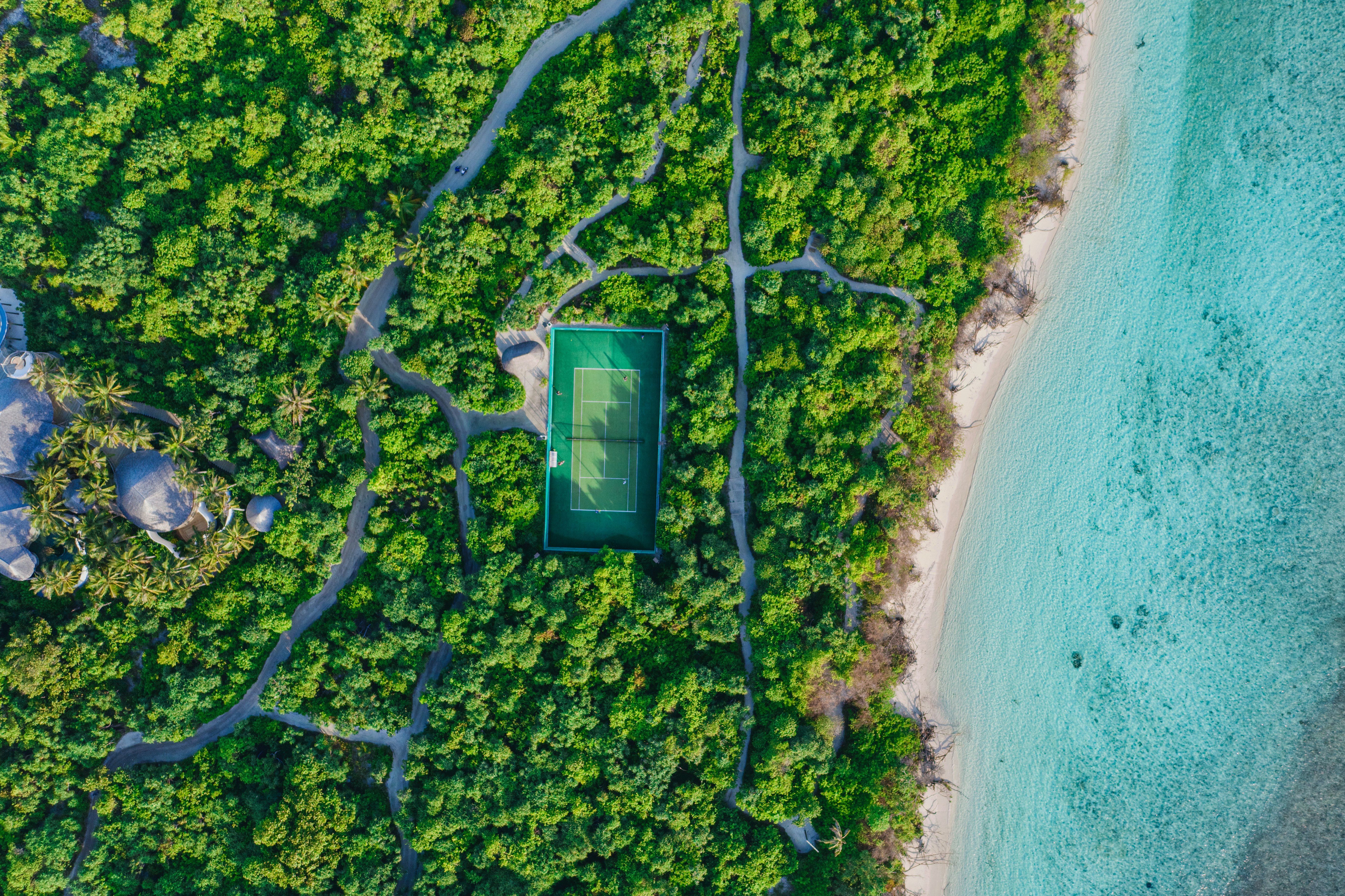 green trees on white sand beach during daytime