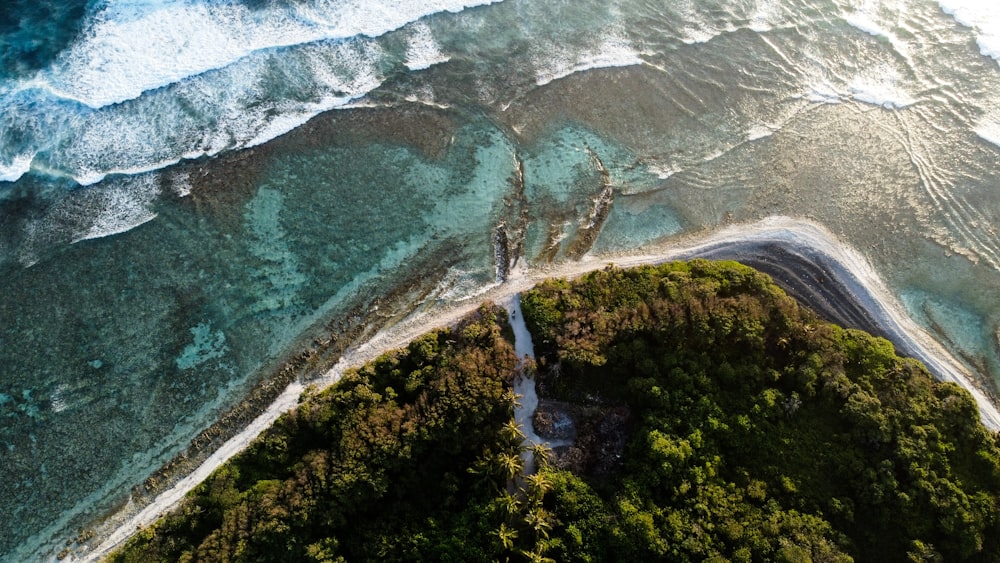 aerial view of green trees and body of water during daytime