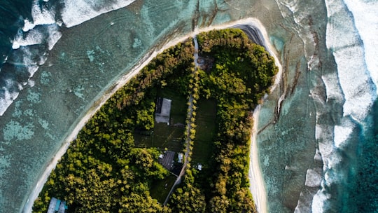 aerial view of green trees beside body of water during daytime in Maalhos Maldives