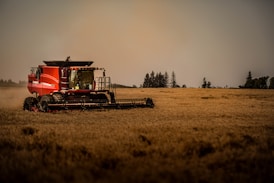 red and black train on brown field during daytime