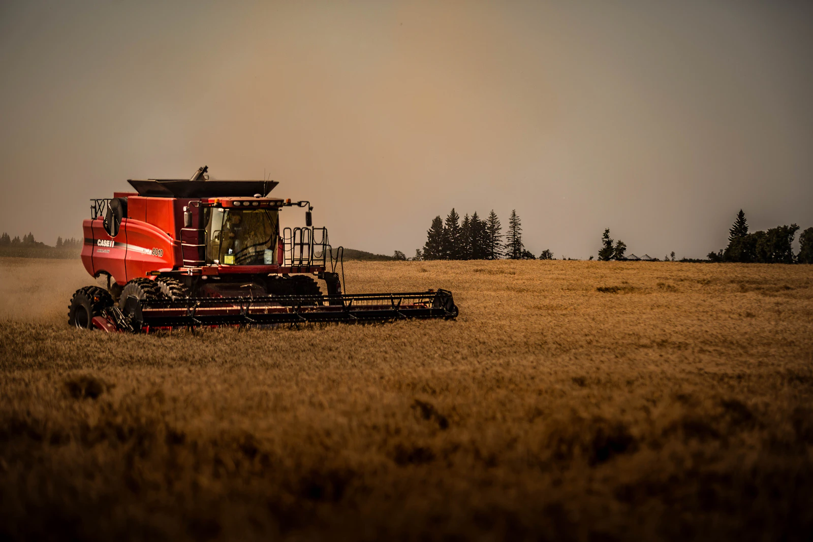 Cosechadora John Deere en campo de trigo al atardecer
