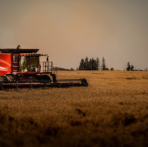 red and black train on brown field during daytime