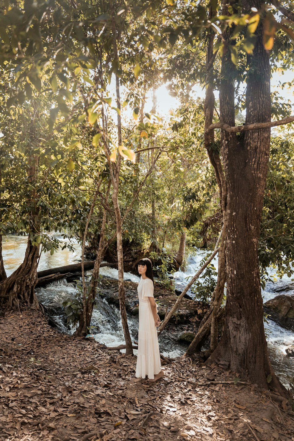 woman in white dress standing on brown tree