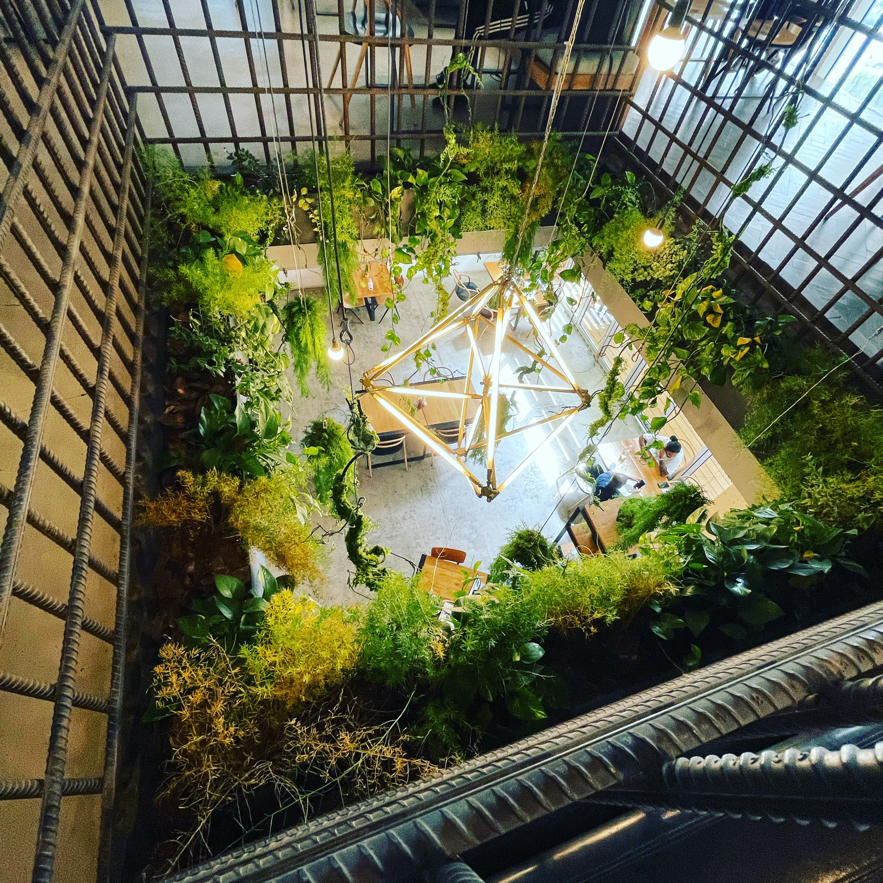 Embracing Nature: Biophilic Design in India