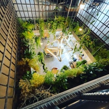 Aerial view of a modern indoor space adorned with lush greenery and contemporary lighting fixtures. The room features various plants hanging from the ceiling and placed around the perimeter, creating a garden-like atmosphere indoors. There are tables and chairs arranged neatly, and the area is illuminated with hanging light bulbs. The design incorporates natural elements within a structured environment, emphasizing vertical green walls and natural light.