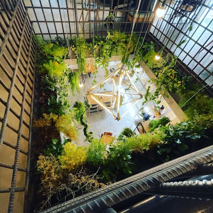 Aerial view of a modern indoor space adorned with lush greenery and contemporary lighting fixtures. The room features various plants hanging from the ceiling and placed around the perimeter, creating a garden-like atmosphere indoors. There are tables and chairs arranged neatly, and the area is illuminated with hanging light bulbs. The design incorporates natural elements within a structured environment, emphasizing vertical green walls and natural light.